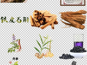 中醫(yī)中藥古代養(yǎng)生藥材png免扣素材圖片 模板下載 109.25mb 食物飲品 大全 生活工作